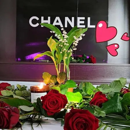 公寓 Toit Et Moi 戛纳