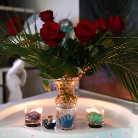 Toit Et Moi 公寓 戛纳